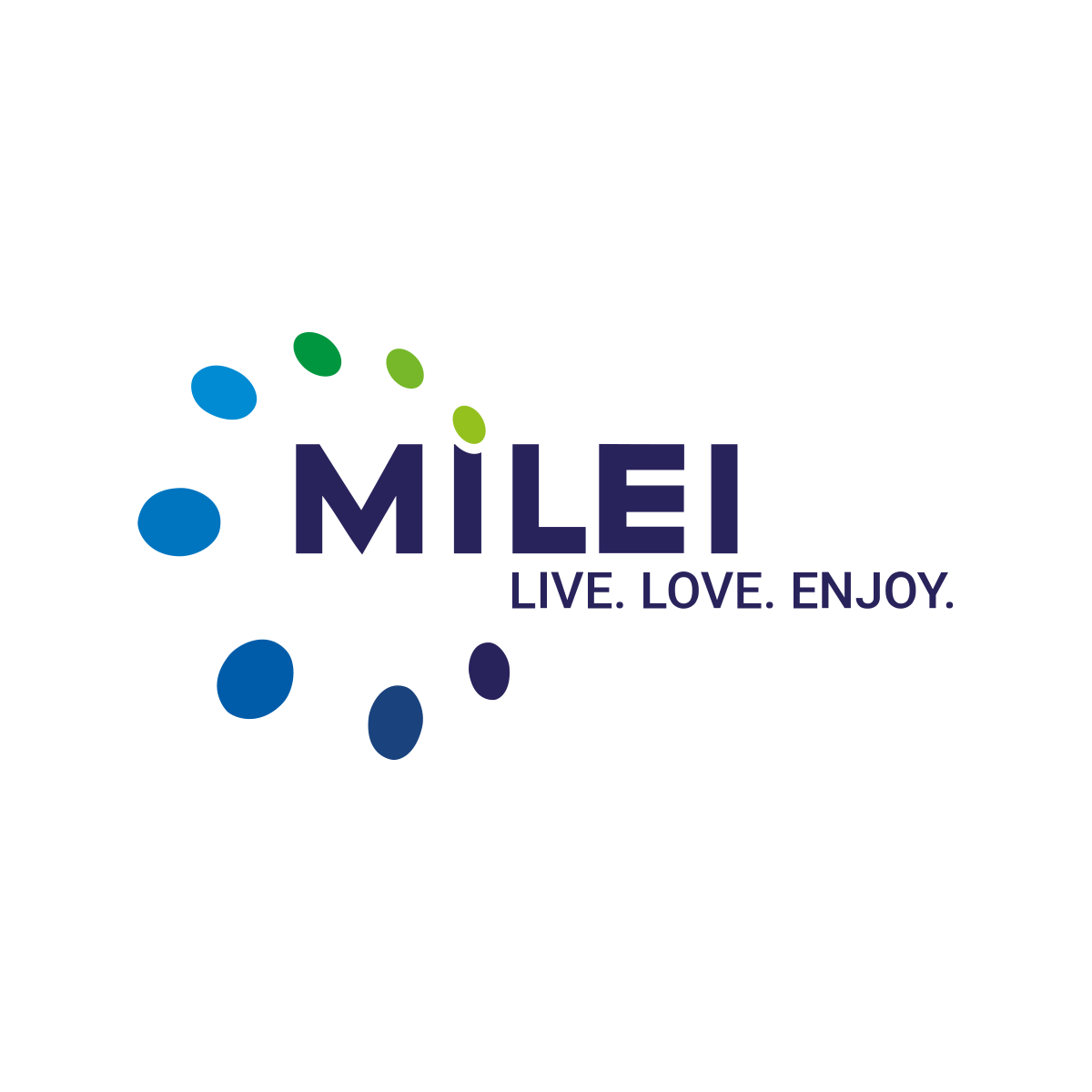 Geschäftsführung MILEI GmbH